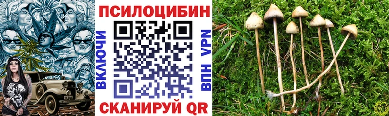Галлюциногенные грибы мухоморы  Купить  Бахчисарай 